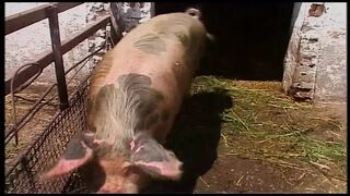 Blond MILF's wilde avontuur in de schuur en buiten met Egon Kowalski